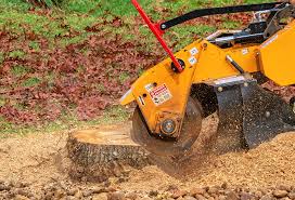 Best Organic Lawn Care Solutions  in Delevan, NY
